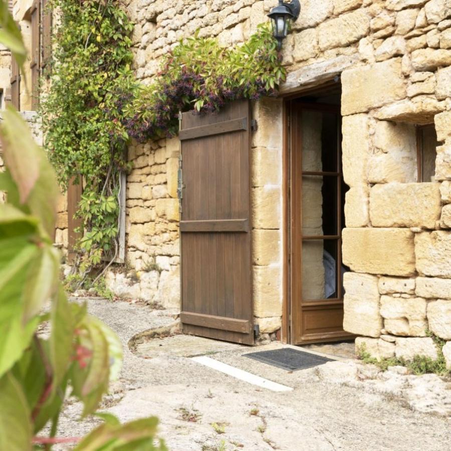 Domaine De Cantegrel - Gites De Charme Et Suite Troglodyte En Perigord Vitrac (Dordogne) Exterior foto