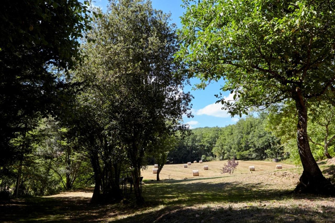 Domaine De Cantegrel - Gites De Charme Et Suite Troglodyte En Perigord Vitrac (Dordogne) Exterior foto